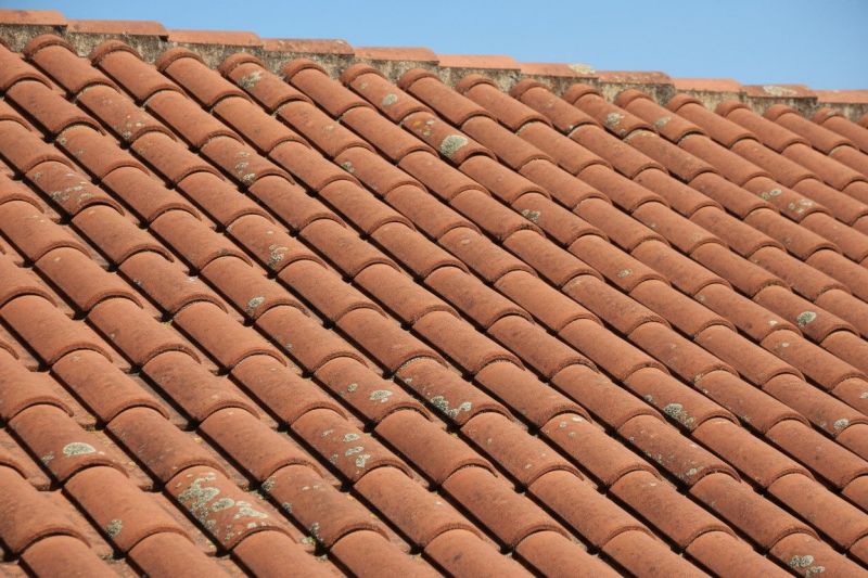 What To Expect During A Professional Tile Roof Replacement